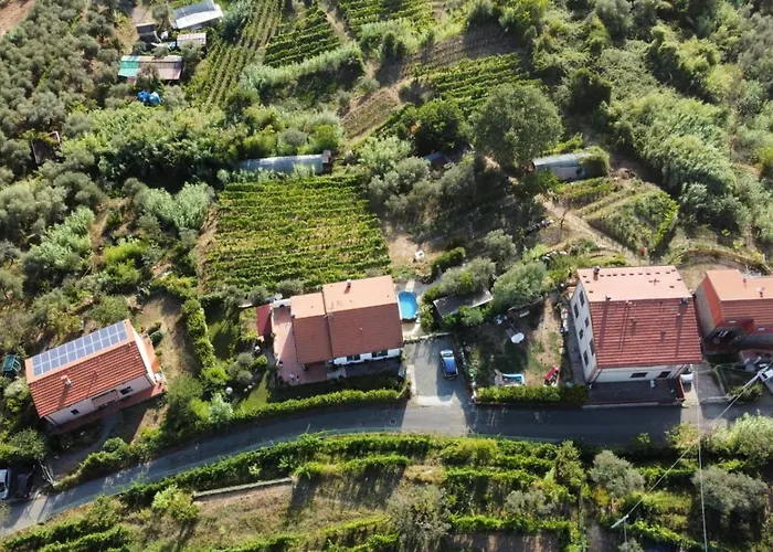 In Vino Veritas