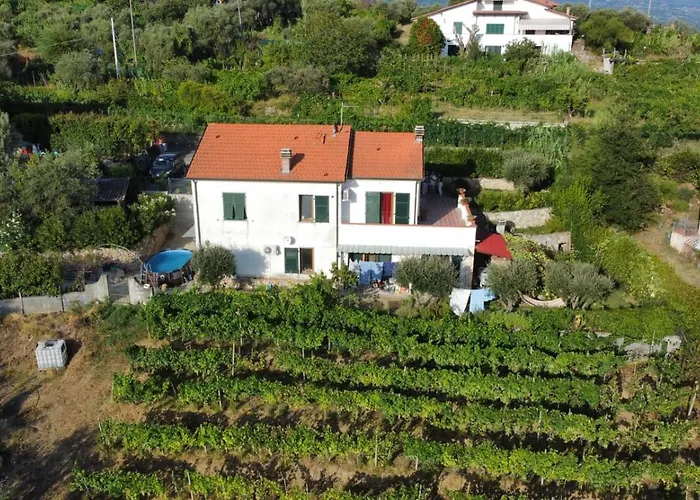 In Vino Veritas