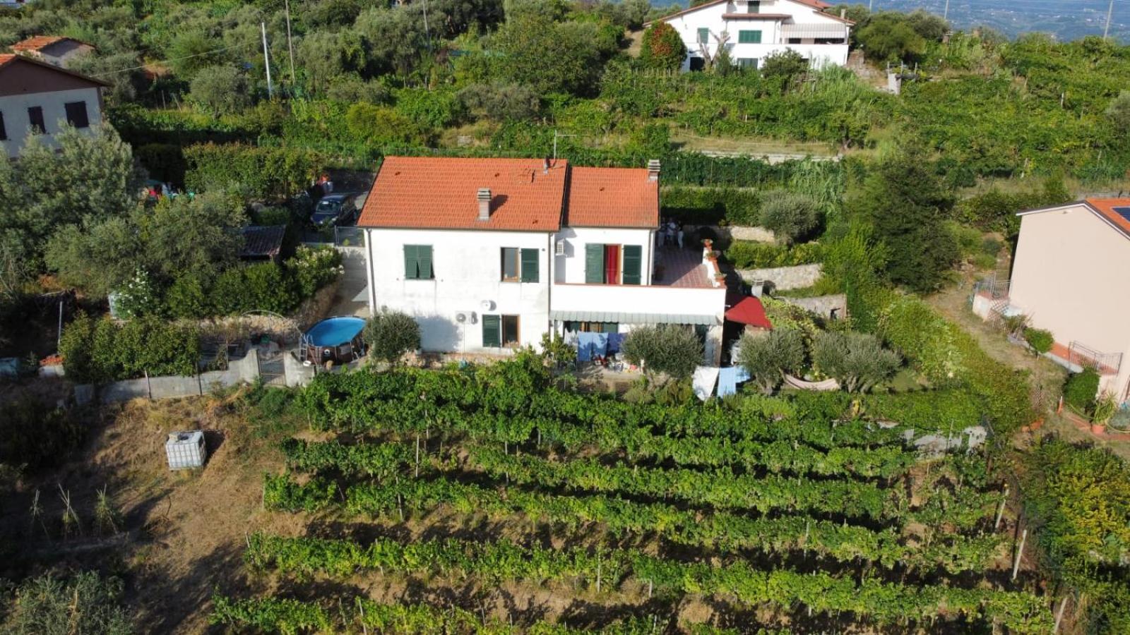Frühstückspension In Vino Veritas *